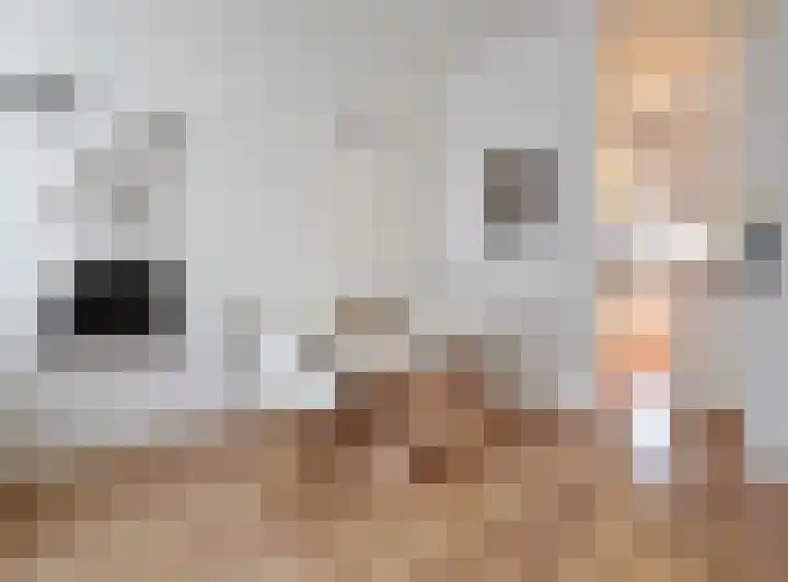 Jongkindhoek 26 Nunspeet thumbnail 7
