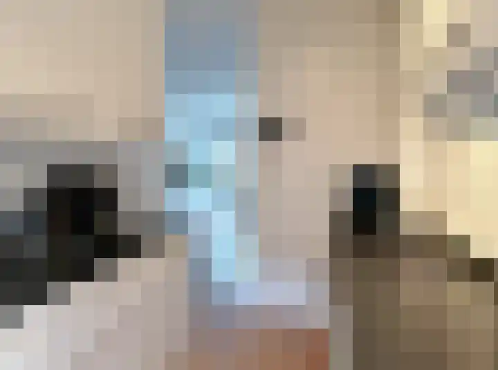 Jongkindhoek 26 Nunspeet thumbnail 8