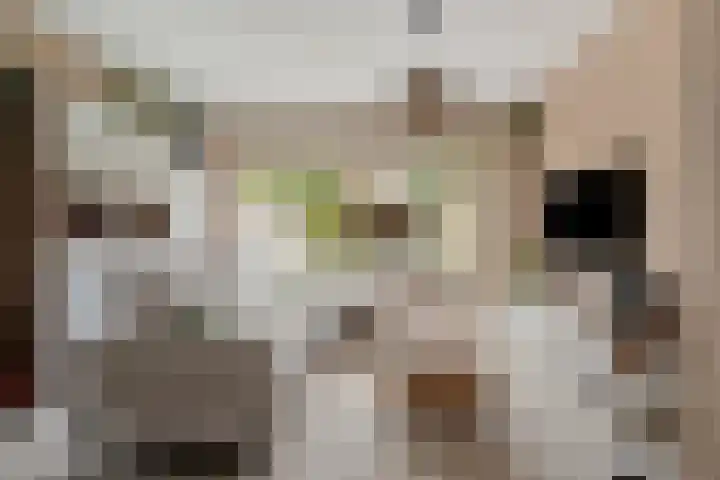 Jongkindhoek 28 Nunspeet thumbnail 10