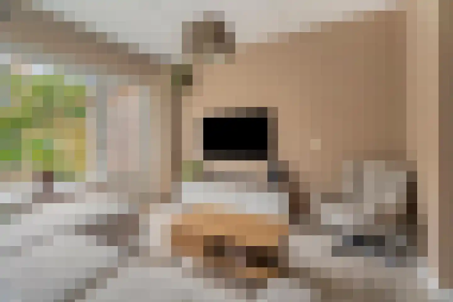 Jongkindhoek 28 Nunspeet thumbnail 11