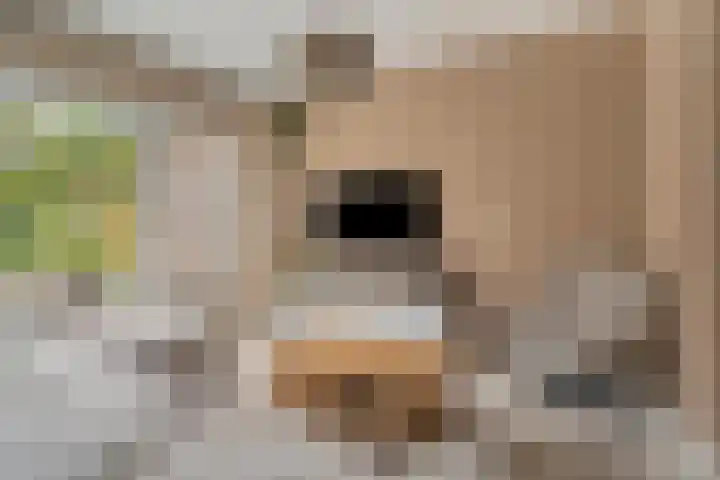 Jongkindhoek 28 Nunspeet thumbnail 11