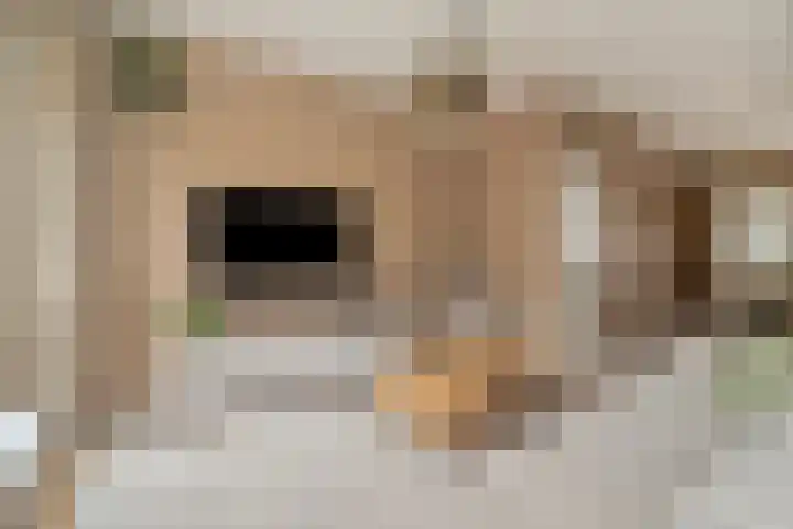 Jongkindhoek 28 Nunspeet thumbnail 12