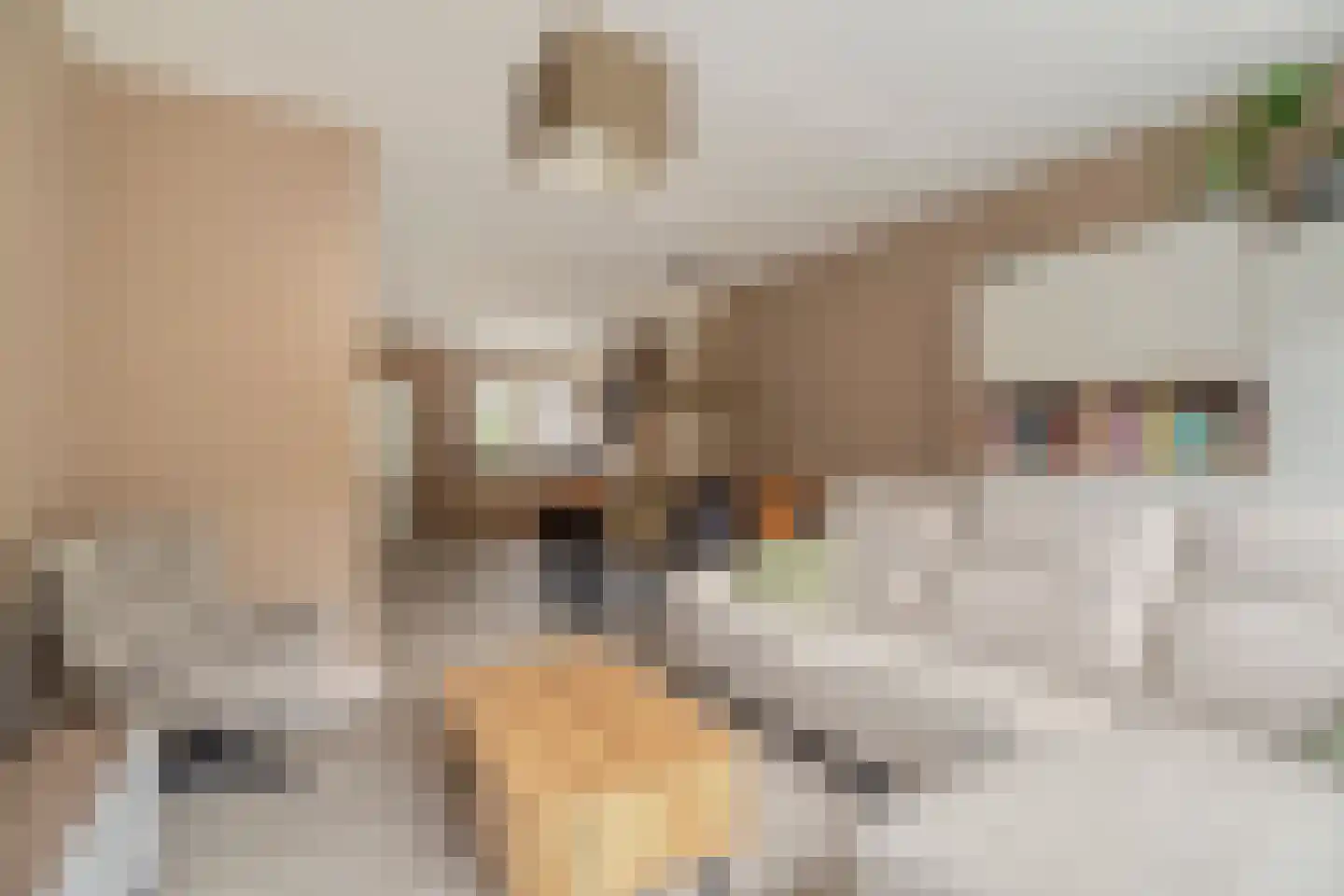 Jongkindhoek 28 Nunspeet thumbnail 13