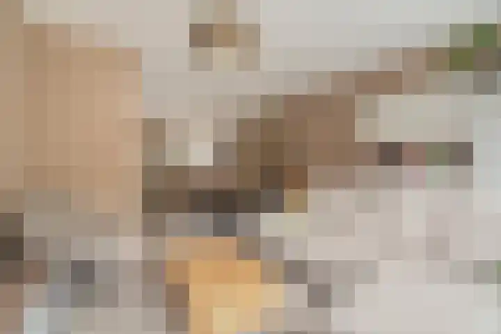 Jongkindhoek 28 Nunspeet thumbnail 13