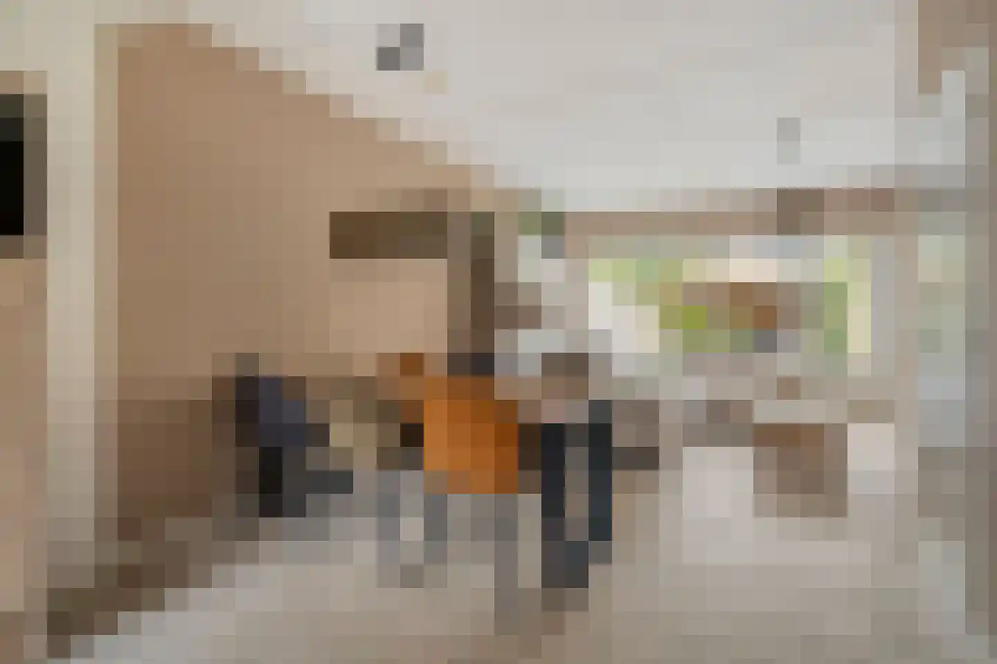 Jongkindhoek 28 Nunspeet thumbnail 16