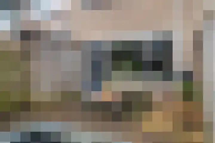 Jongkindhoek 28 Nunspeet thumbnail 36