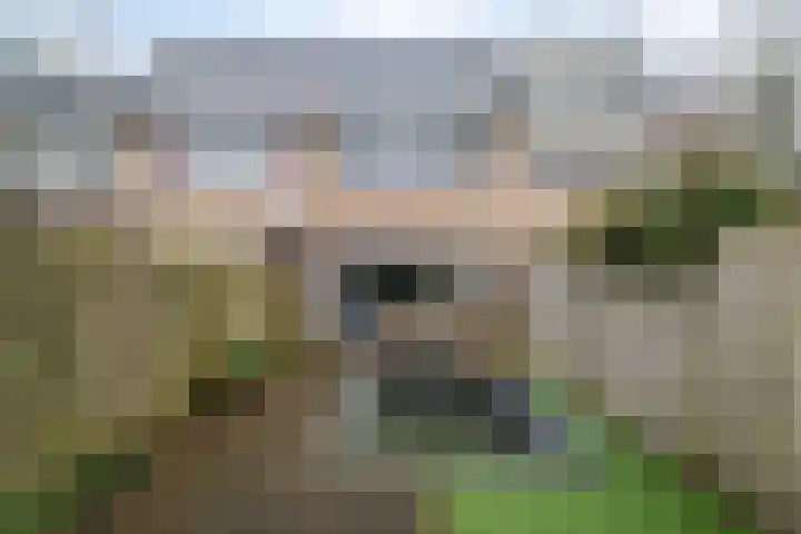 Jongkindhoek 28 Nunspeet thumbnail 37