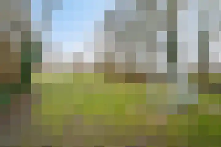 Jongkindhoek 28 Nunspeet thumbnail 40
