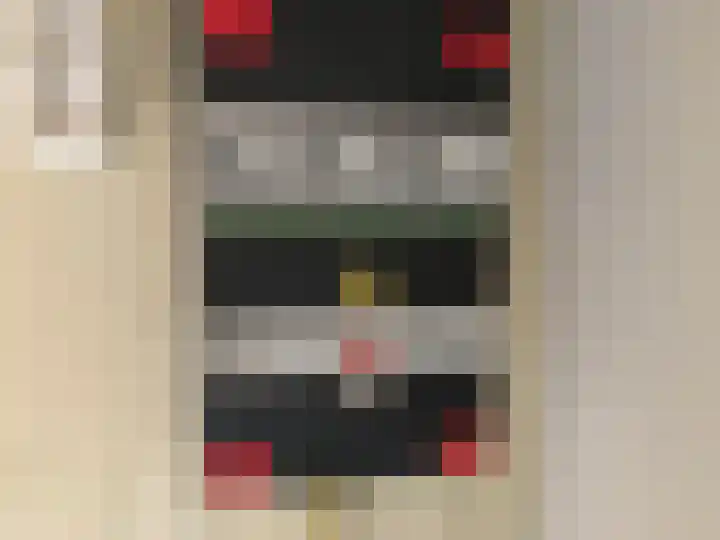 Jongkindhoek 39 Nunspeet thumbnail 13