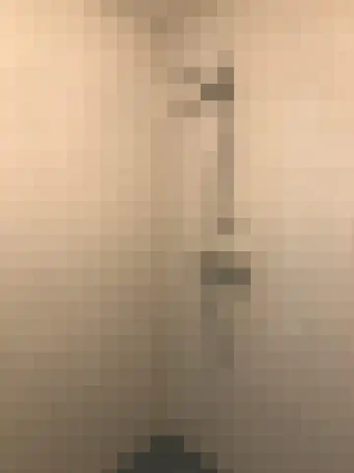 Jongkindhoek 39 Nunspeet thumbnail 9