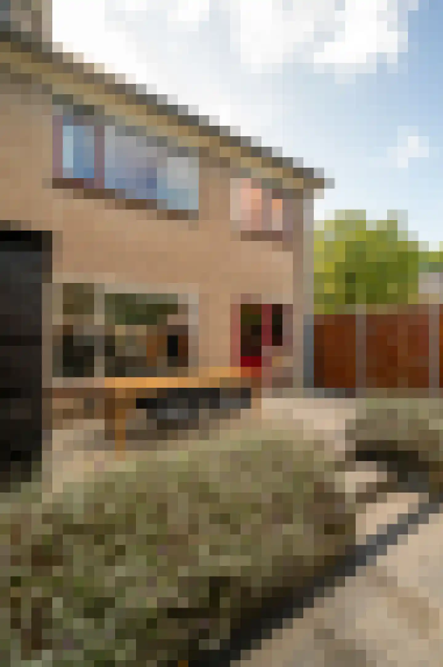 Jongkindhoek 54 Nunspeet thumbnail 28