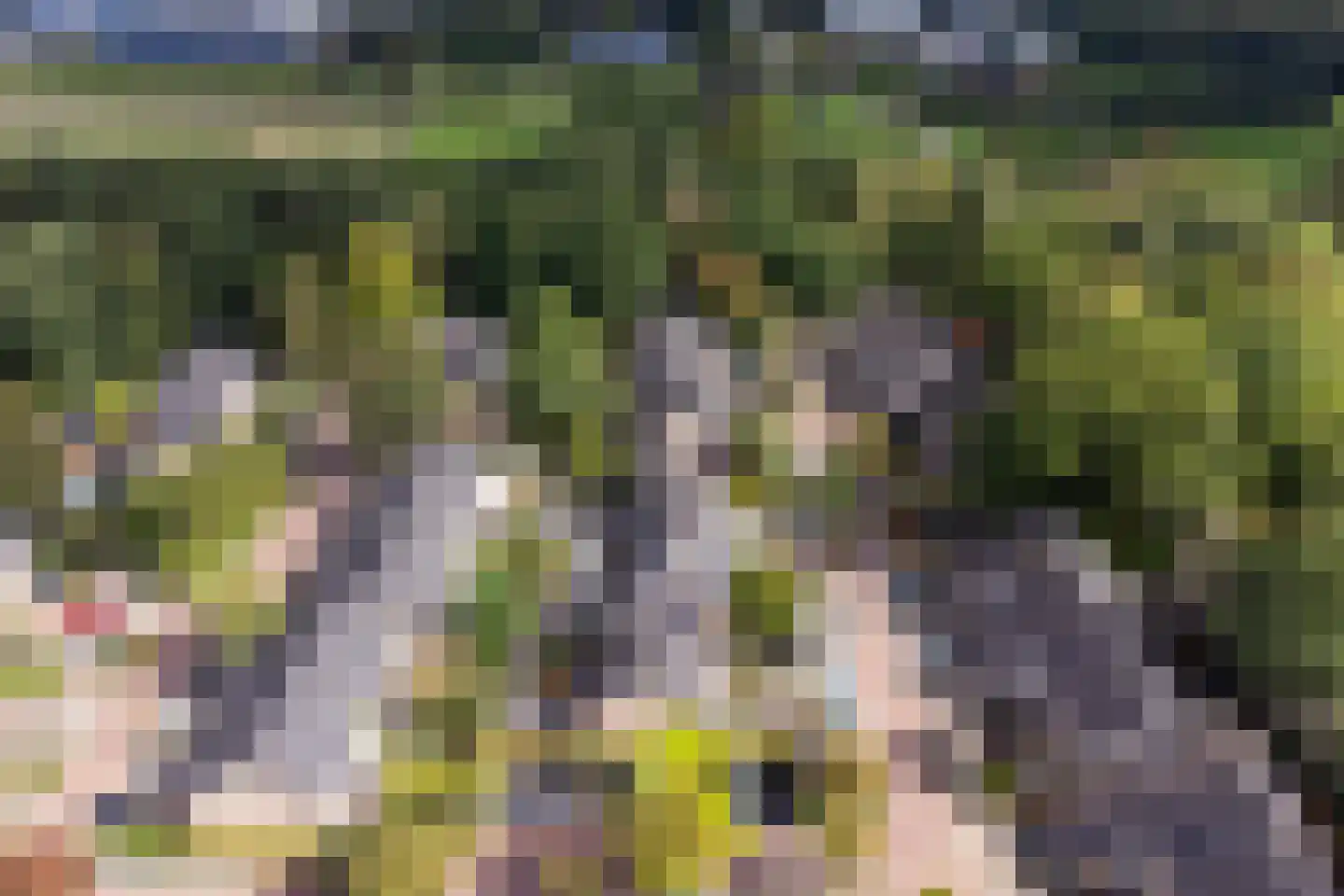 Jongkindhoek 54 Nunspeet thumbnail 33