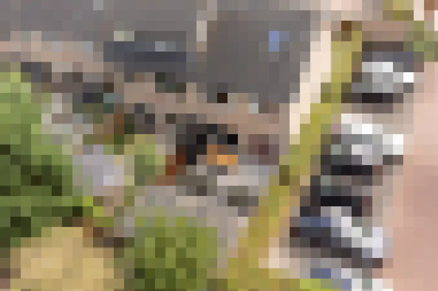 Jongkindhoek 54 Nunspeet thumbnail 6