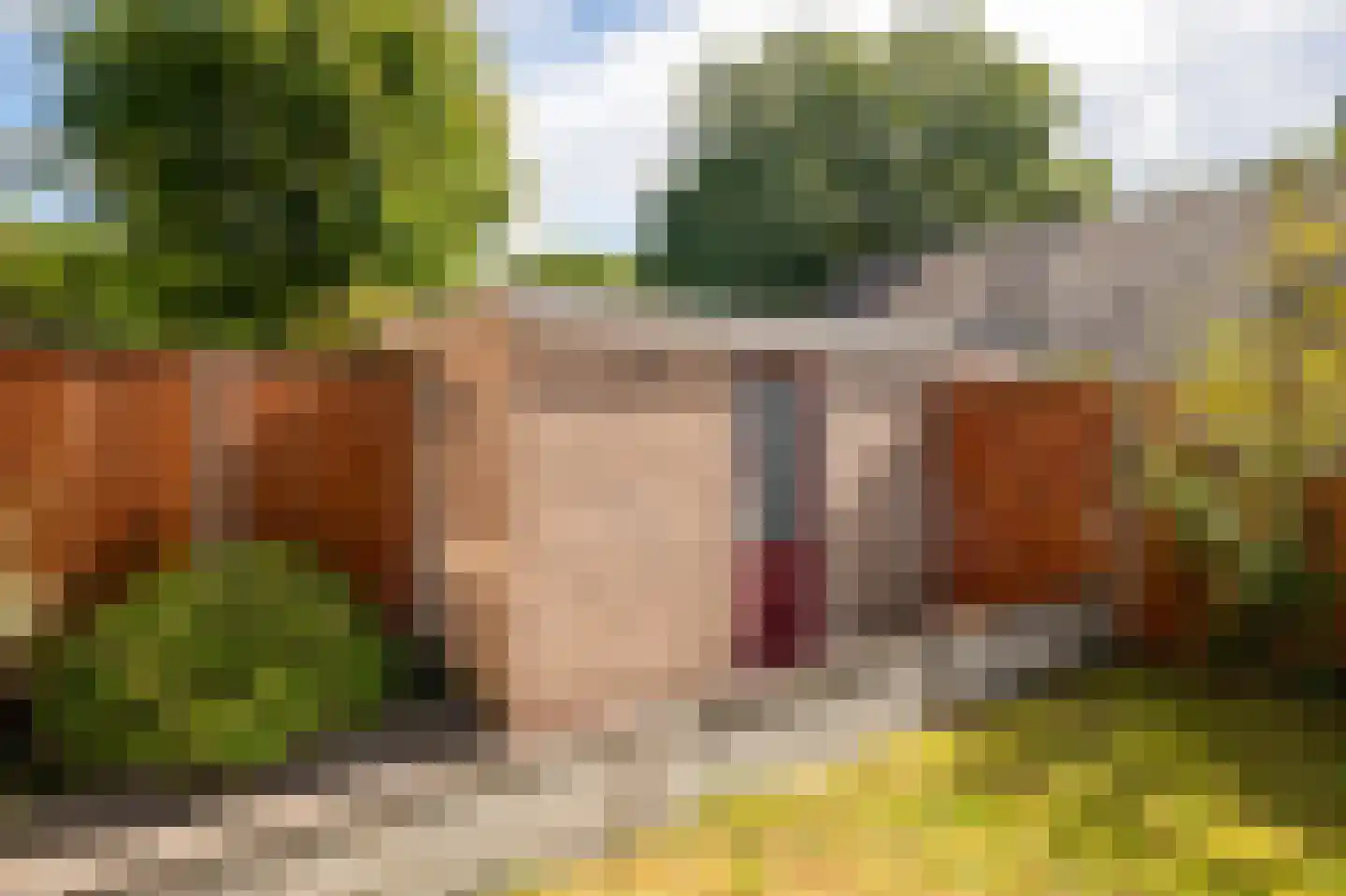 Jongkindhoek 54 Nunspeet thumbnail 7