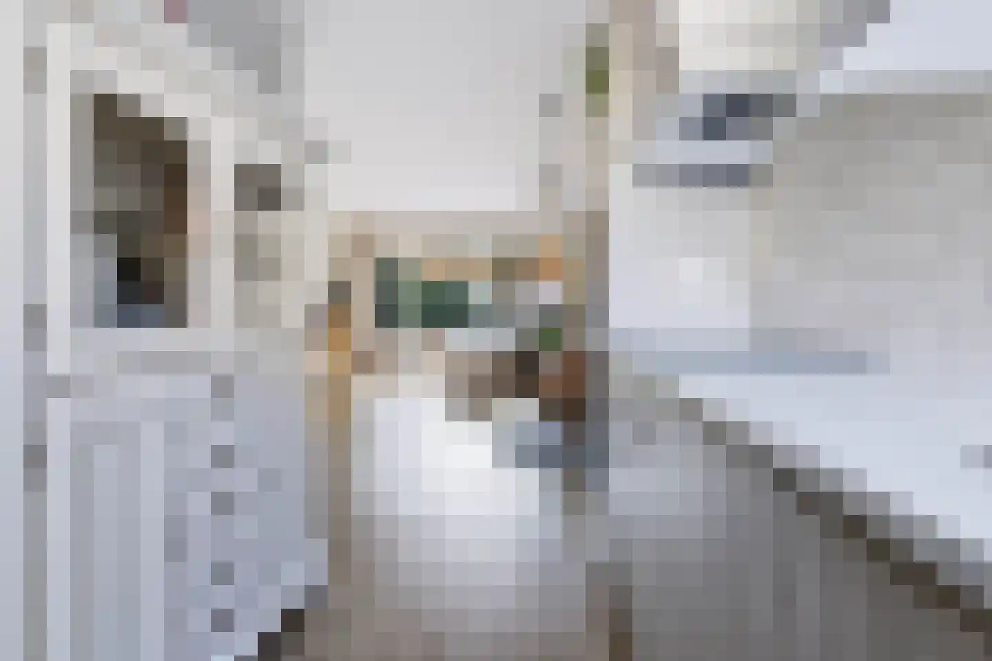Jongkindhoek 69 Nunspeet thumbnail 11