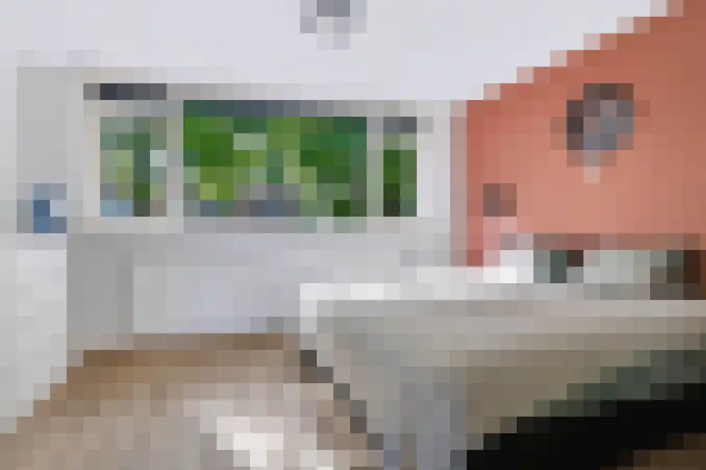 Jongkindhoek 69 Nunspeet thumbnail 14