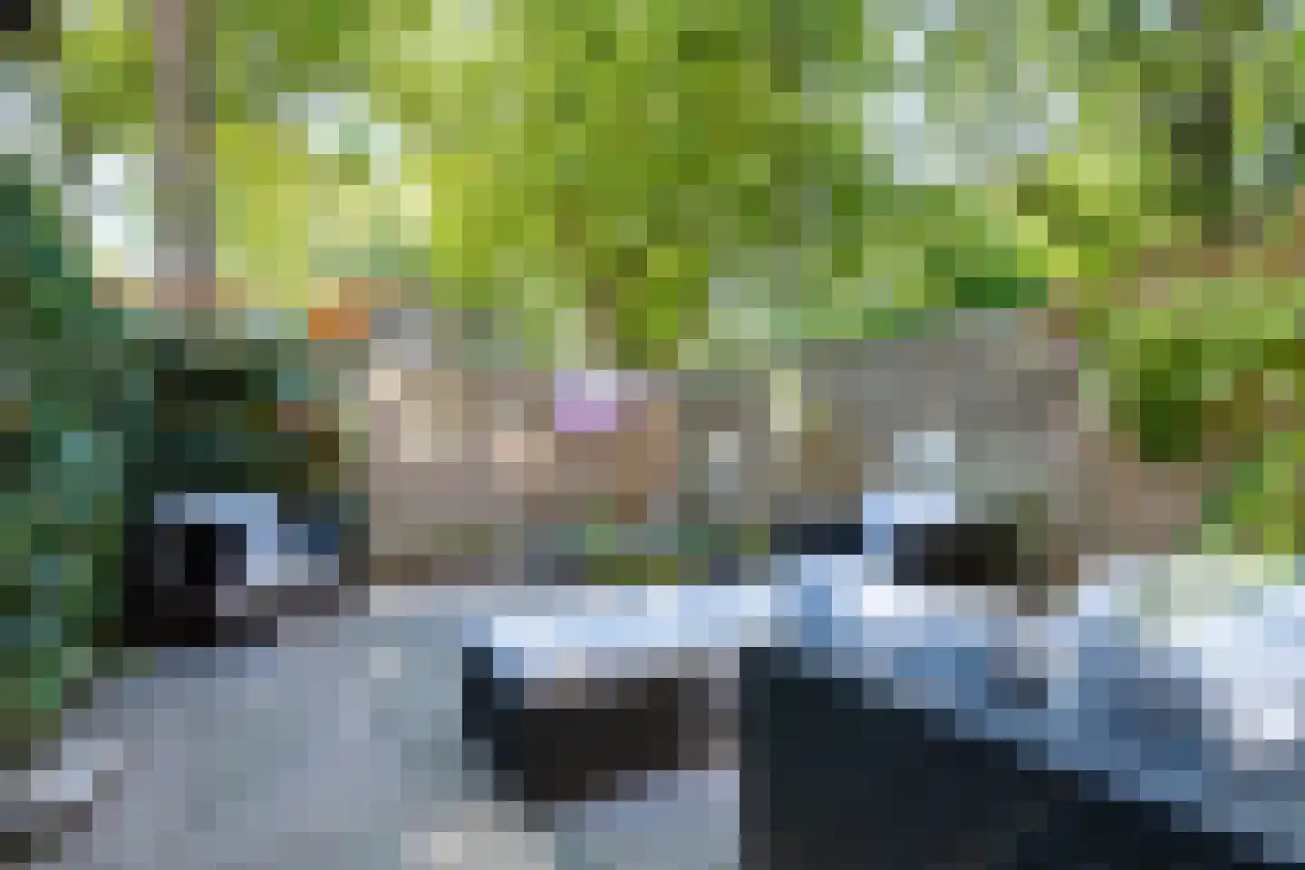 Jongkindhoek 69 Nunspeet thumbnail 21