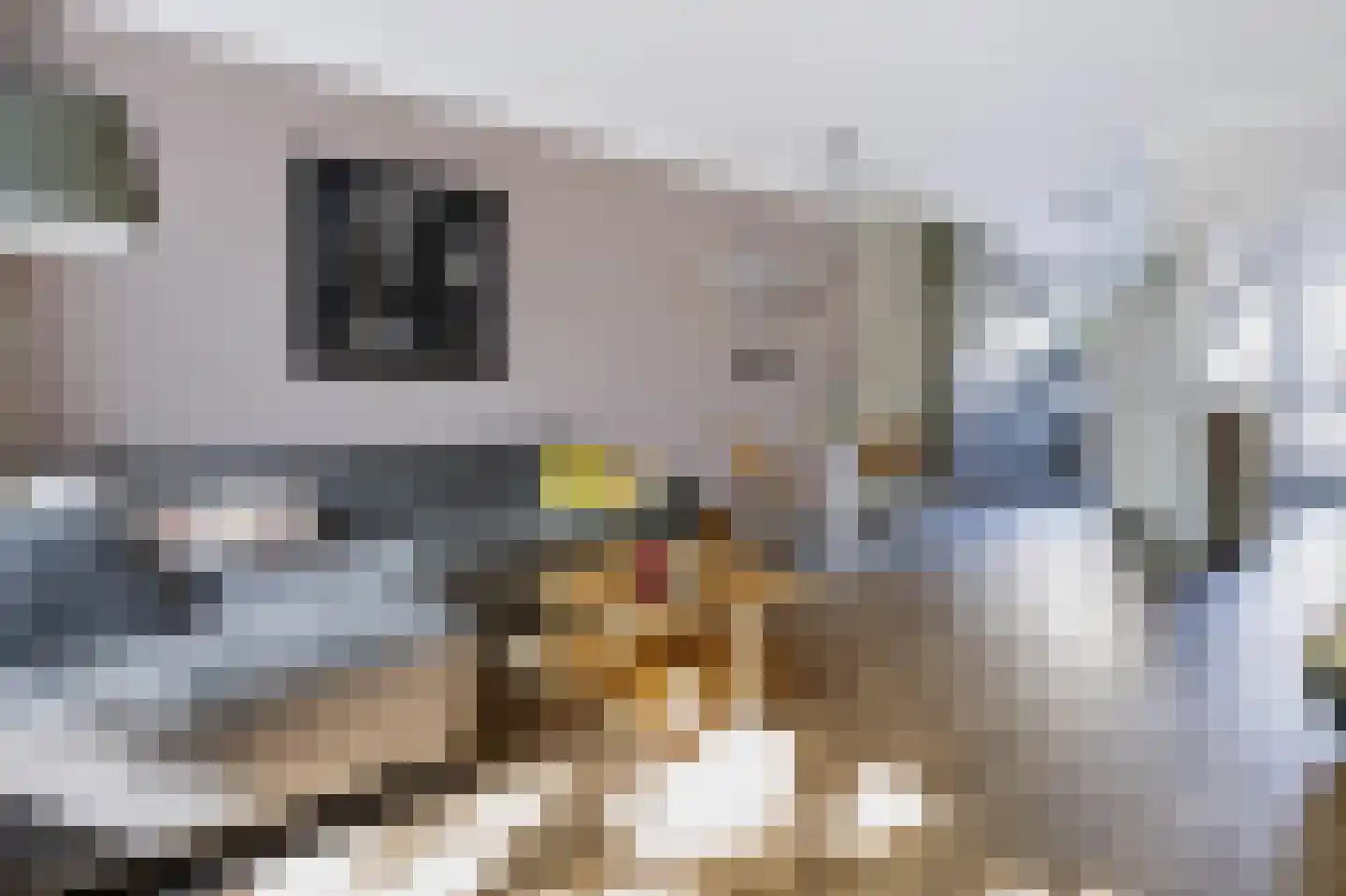 Jongkindhoek 69 Nunspeet thumbnail 4