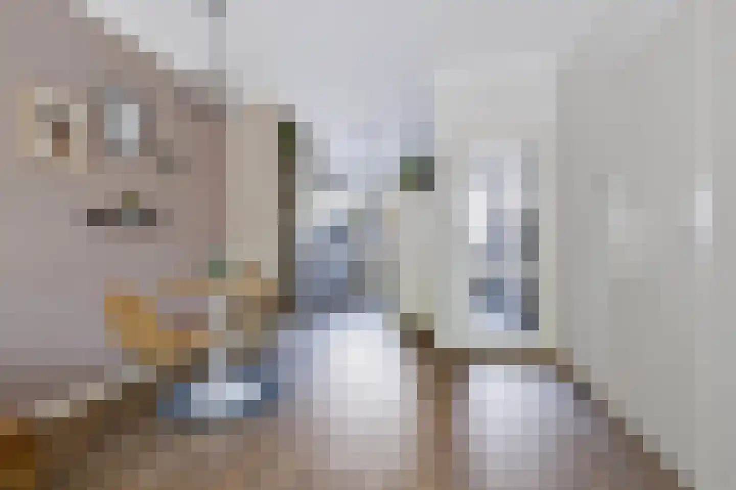 Jongkindhoek 69 Nunspeet thumbnail 8
