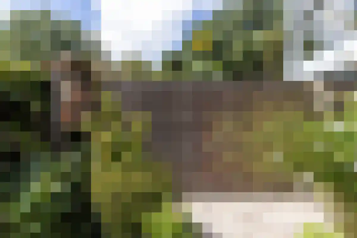 Jongkindlaan 182 Alkmaar thumbnail 29