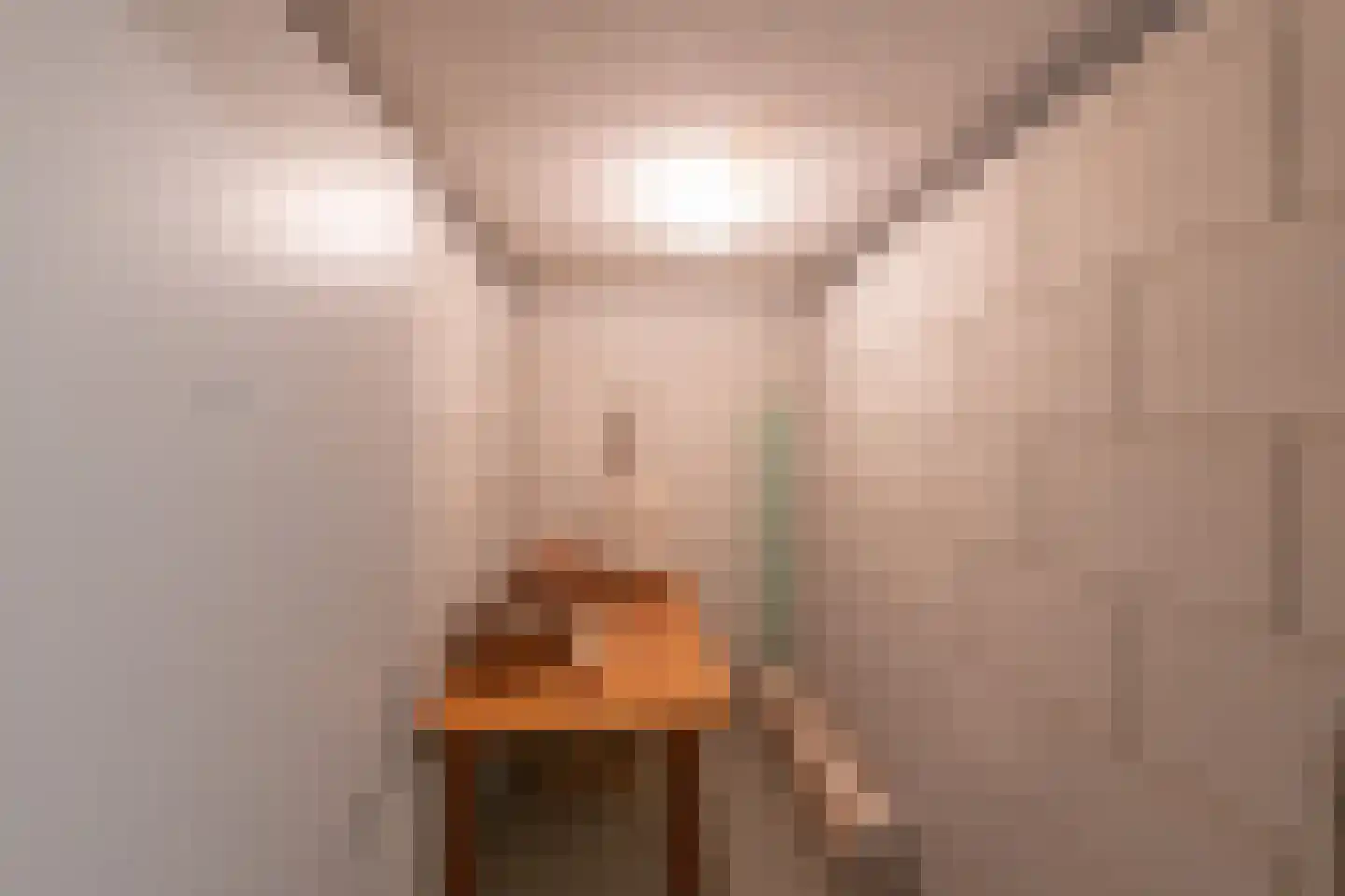Jongkindlaan 216 Alkmaar thumbnail 32