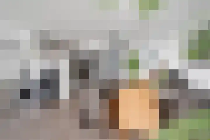 Jongkindstraat 21 Dedemsvaart thumbnail 13