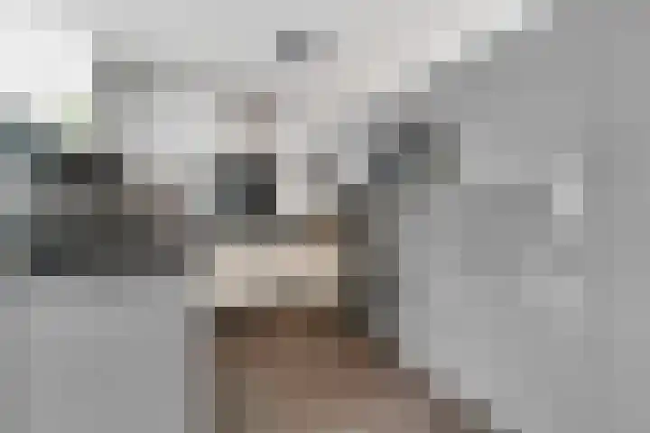 Jongkindstraat 21 Dedemsvaart thumbnail 15