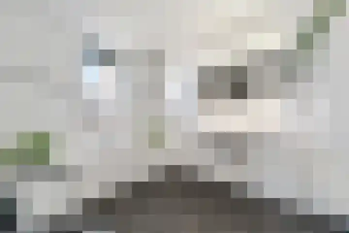 Jongkindstraat 21 Dedemsvaart thumbnail 22