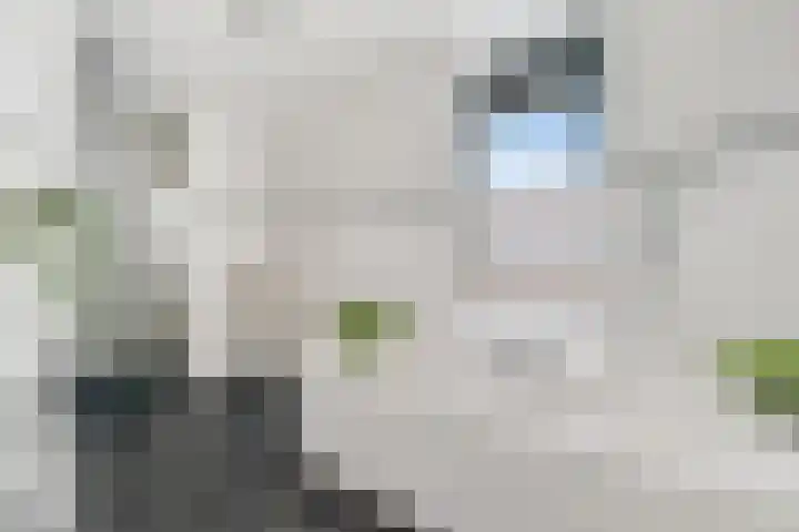 Jongkindstraat 21 Dedemsvaart thumbnail 23