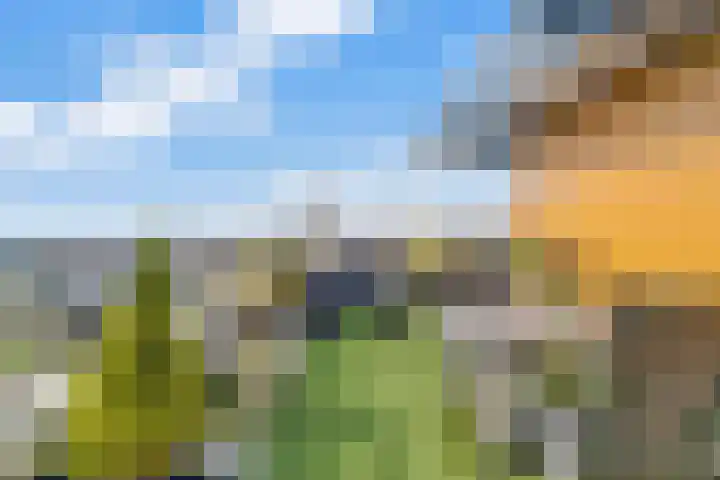 Jongkindstraat 21 Dedemsvaart thumbnail 34
