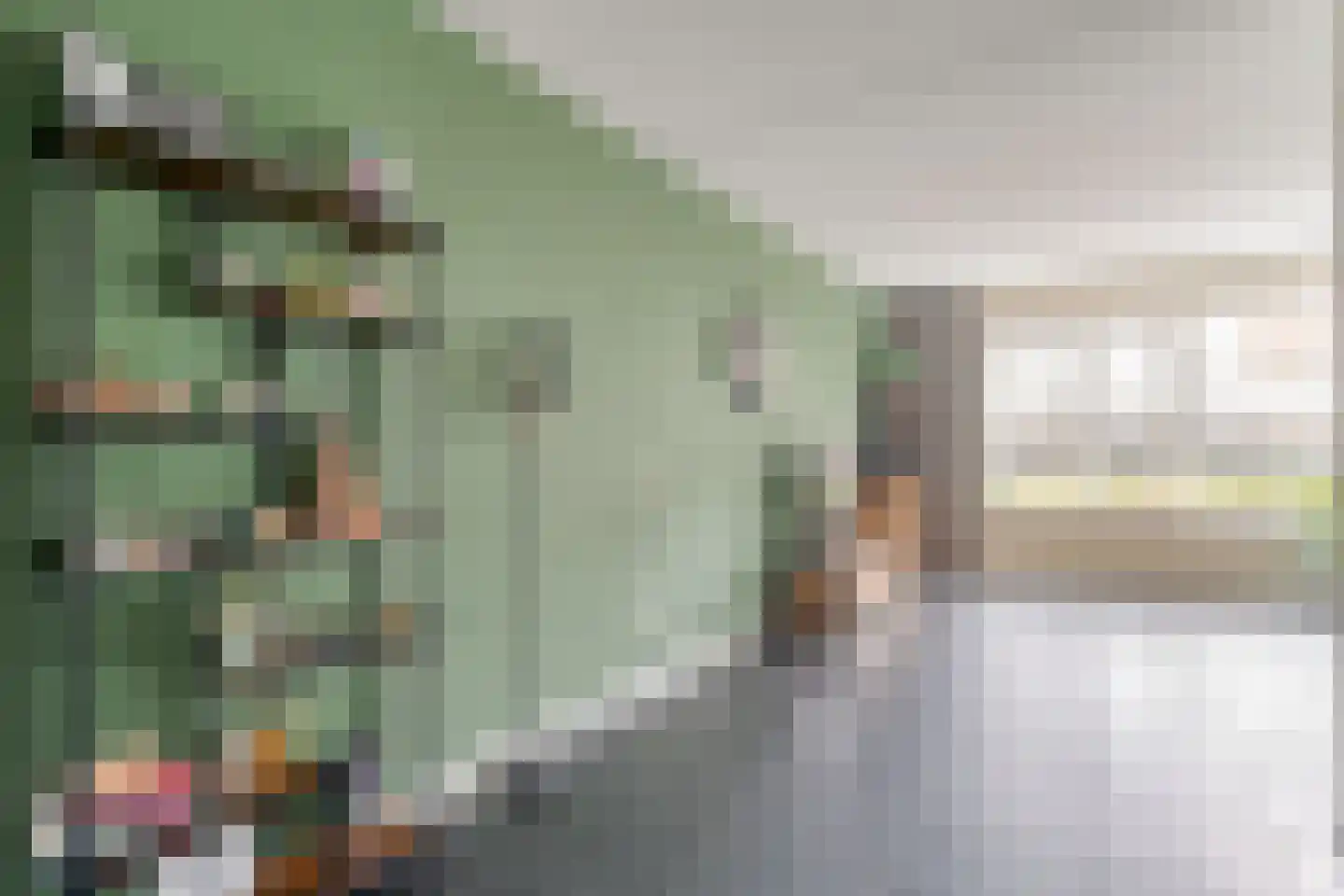 Jongkindstraat 6 Dedemsvaart thumbnail 11