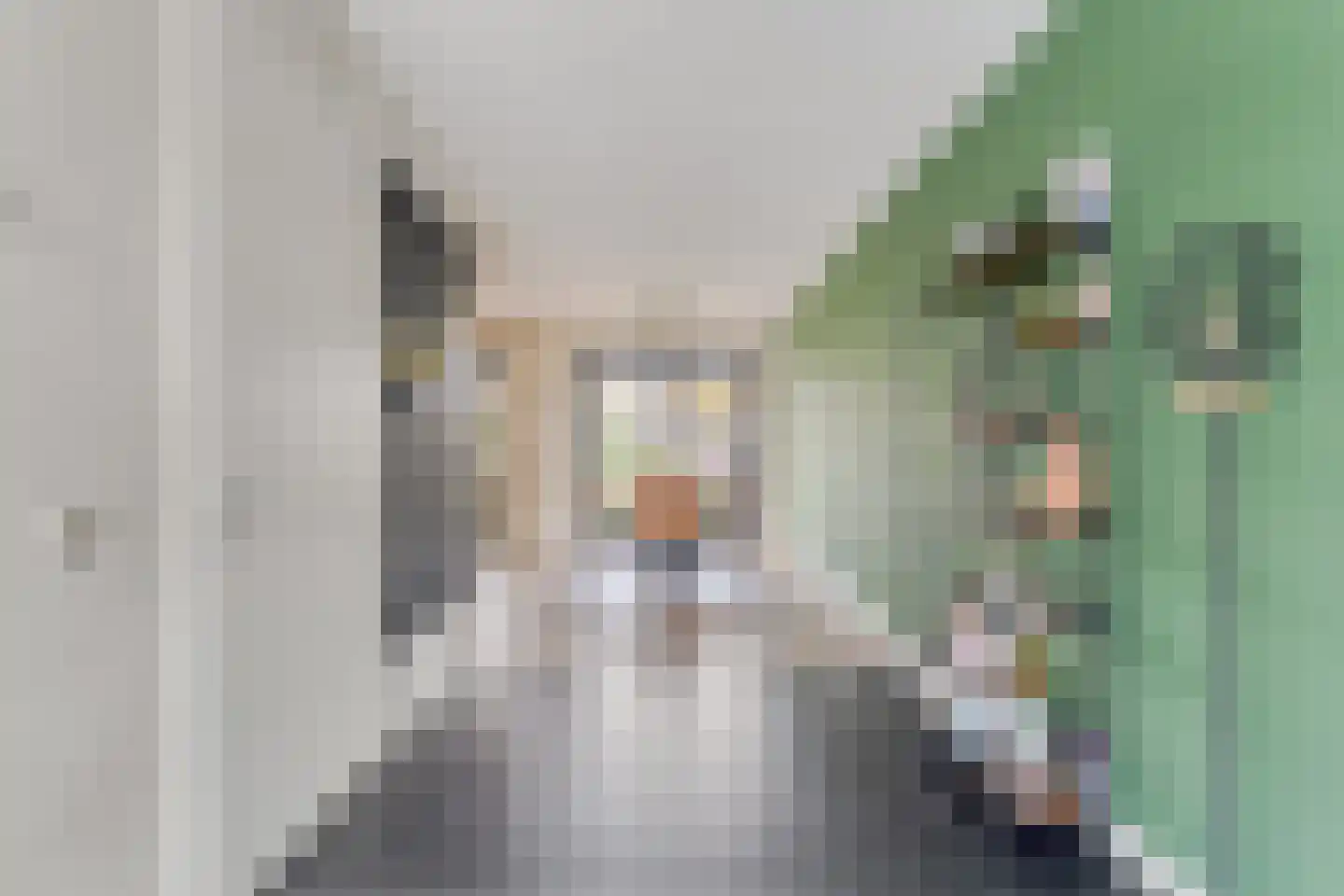 Jongkindstraat 6 Dedemsvaart thumbnail 14