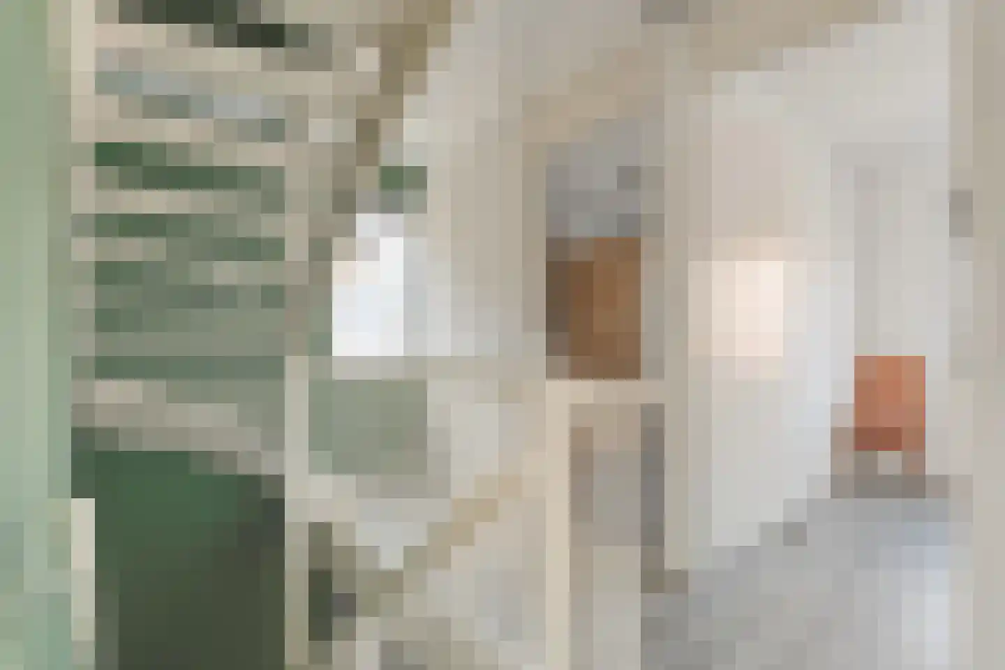Jongkindstraat 6 Dedemsvaart thumbnail 19
