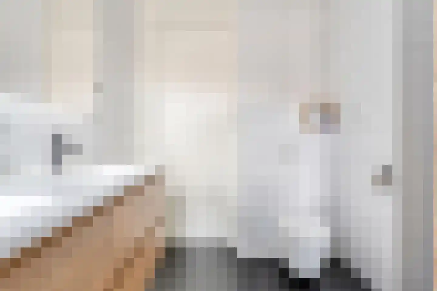 Jongkindstraat 6 Dedemsvaart thumbnail 25
