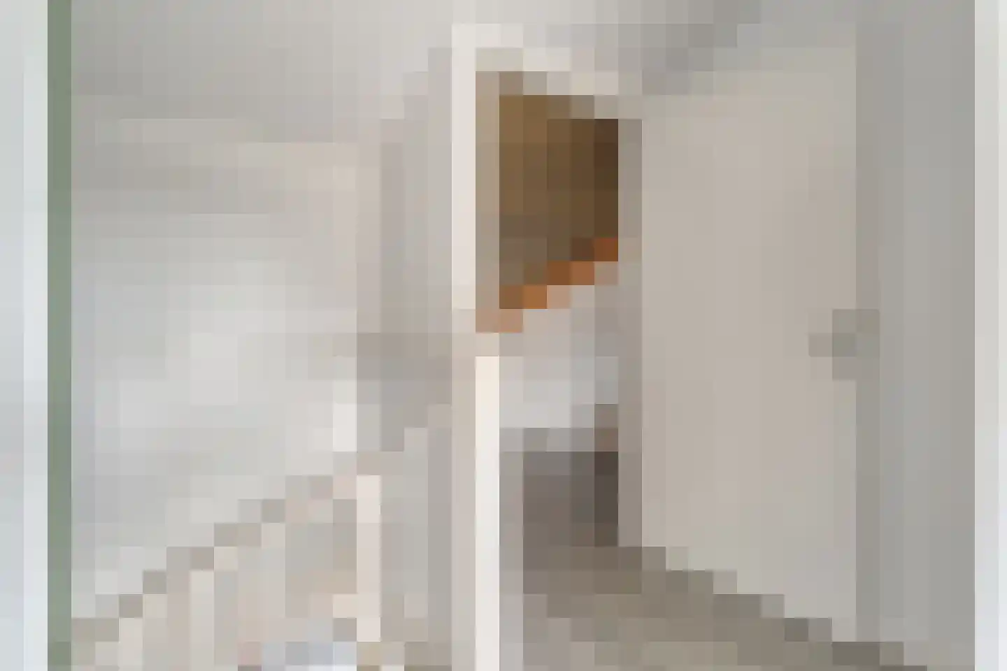 Jongkindstraat 6 Dedemsvaart thumbnail 28