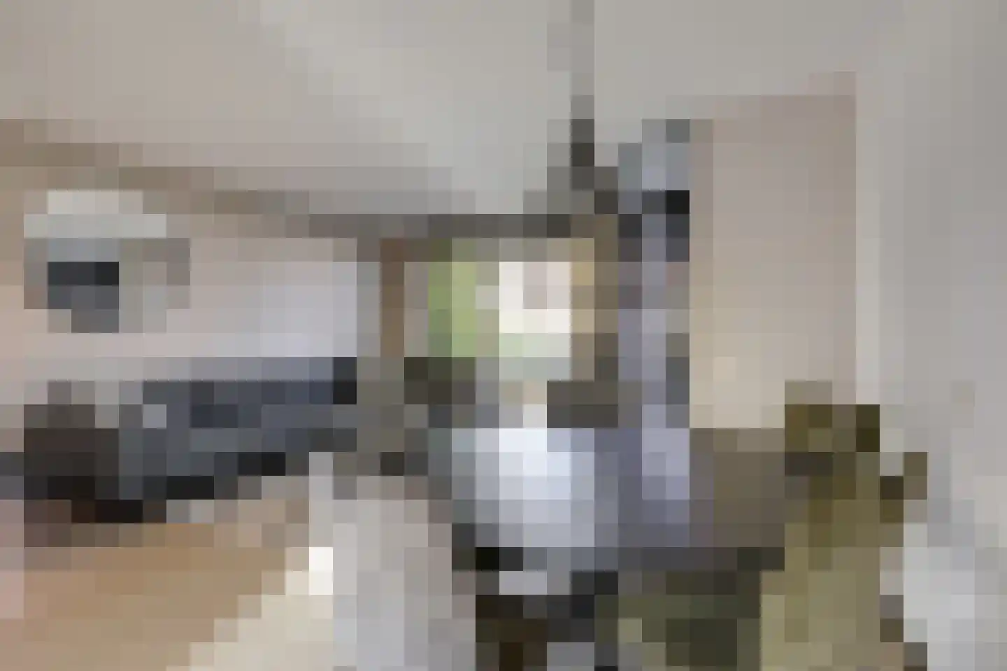 Jongkindstraat 6 Duiven thumbnail 11