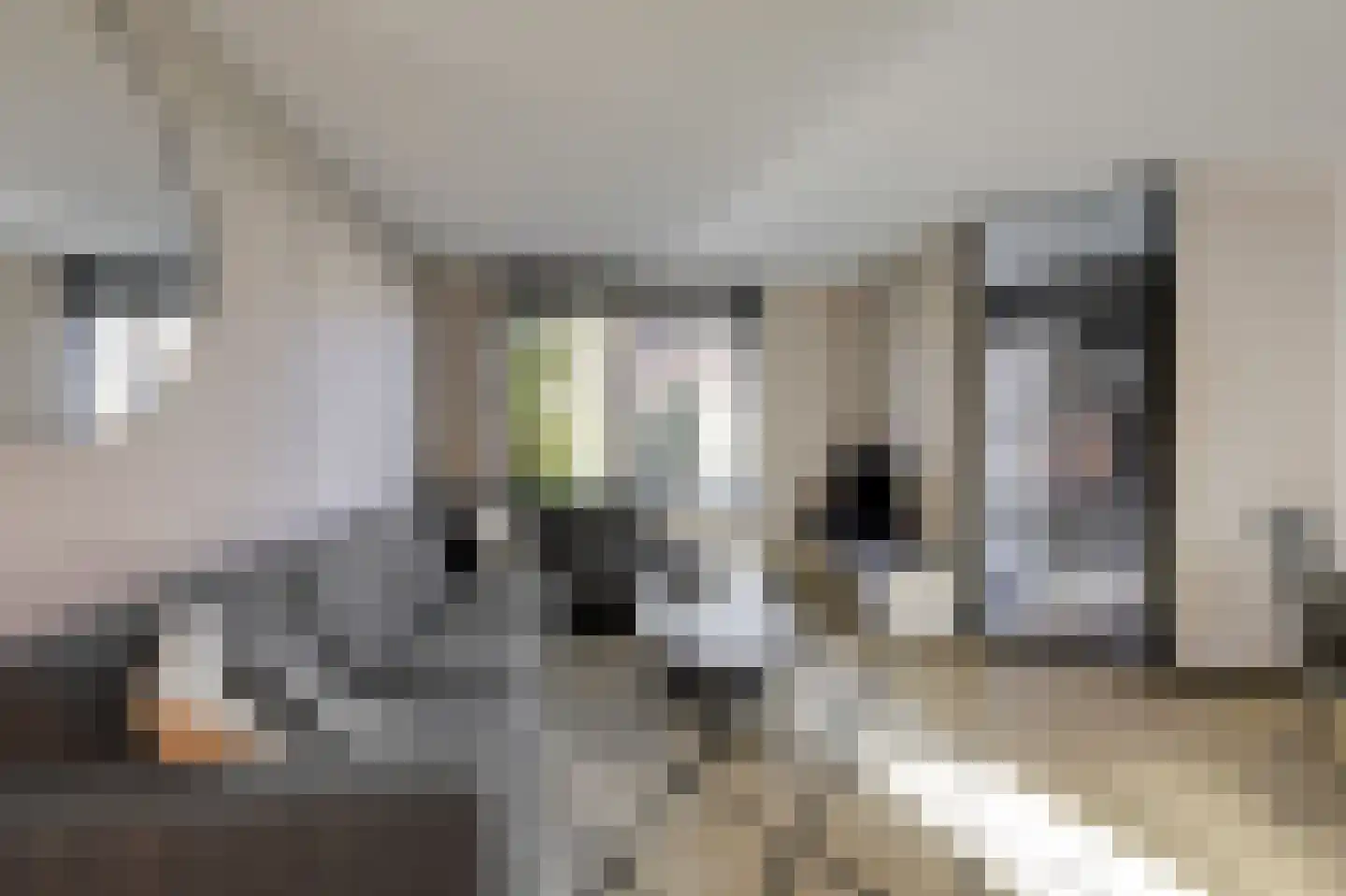 Jongkindstraat 6 Duiven thumbnail 12