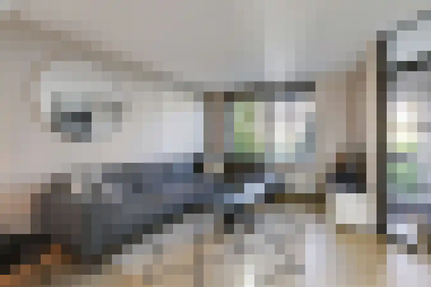 Jongkindstraat 6 Duiven thumbnail 13