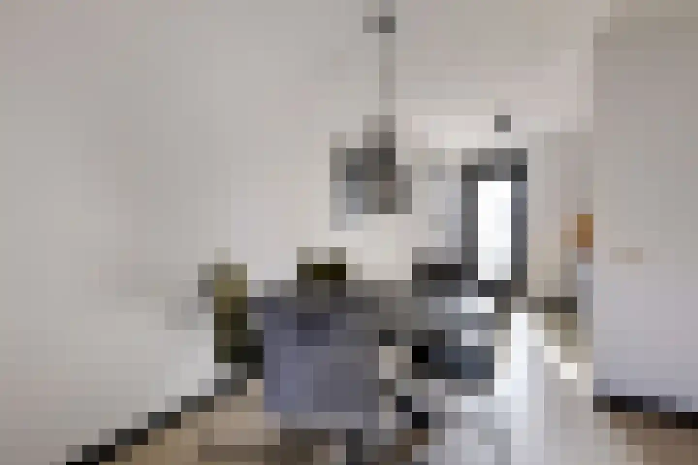 Jongkindstraat 6 Duiven thumbnail 16