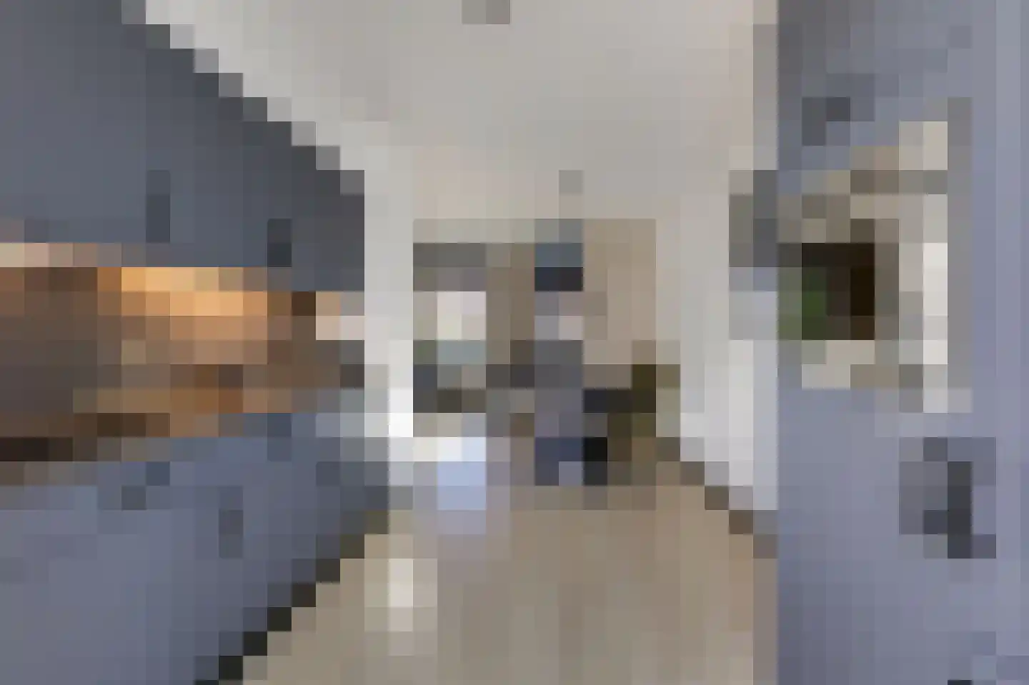 Jongkindstraat 6 Duiven thumbnail 18