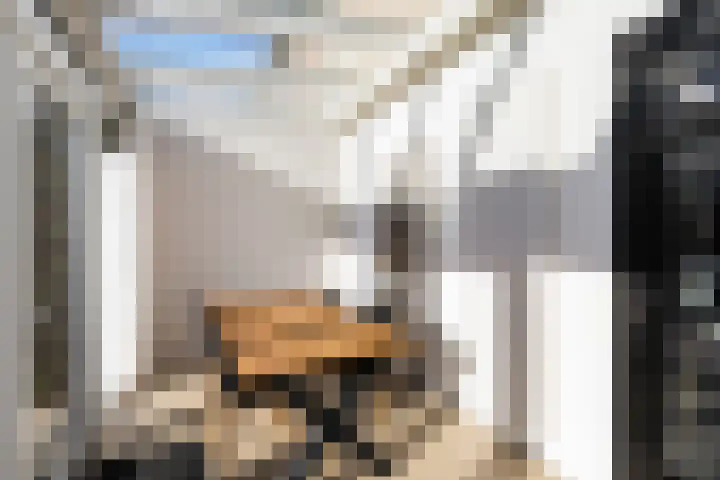 Jongkindstraat 6 Duiven thumbnail 22