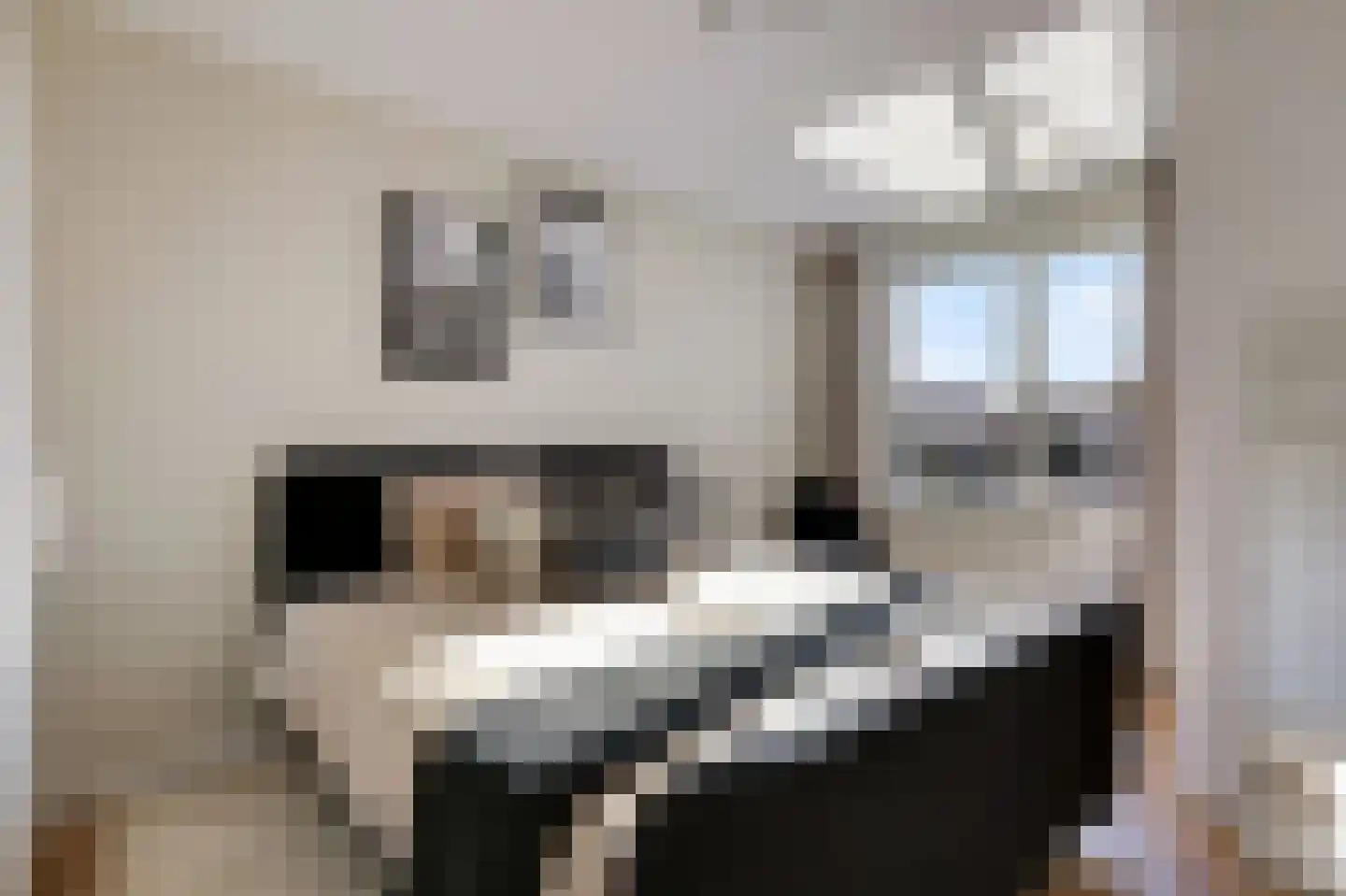 Jongkindstraat 6 Duiven thumbnail 27