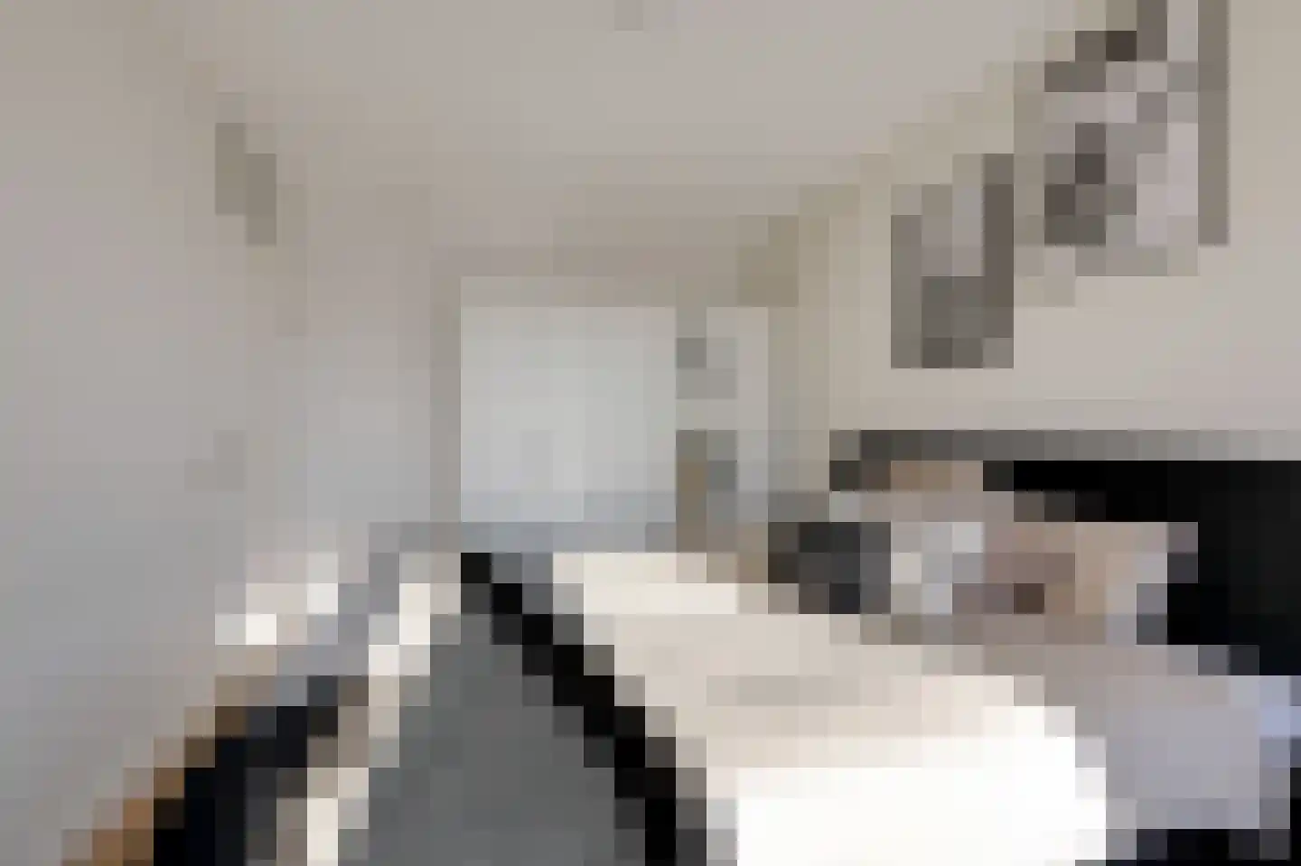 Jongkindstraat 6 Duiven thumbnail 28