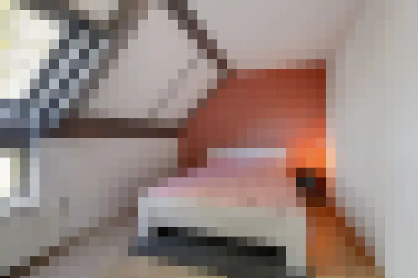 Jongkindstraat 6 Duiven thumbnail 30
