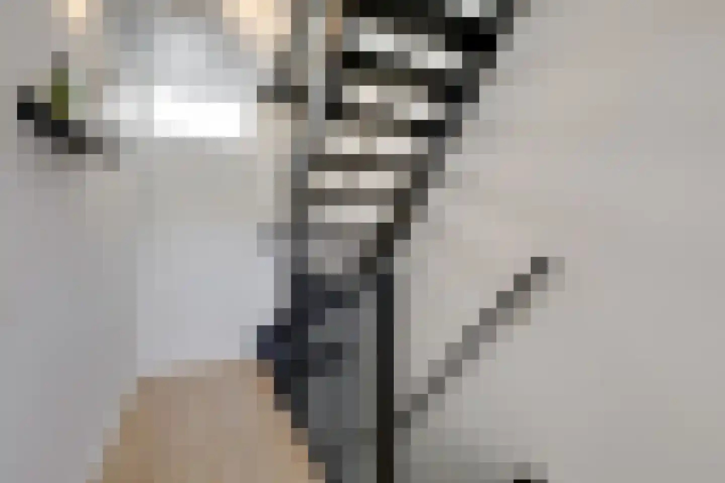 Jongkindstraat 6 Duiven thumbnail 34