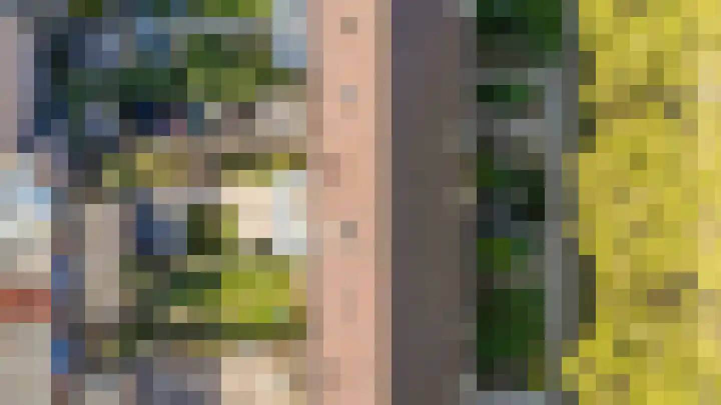 Jongkindstraat 6 Duiven thumbnail 44