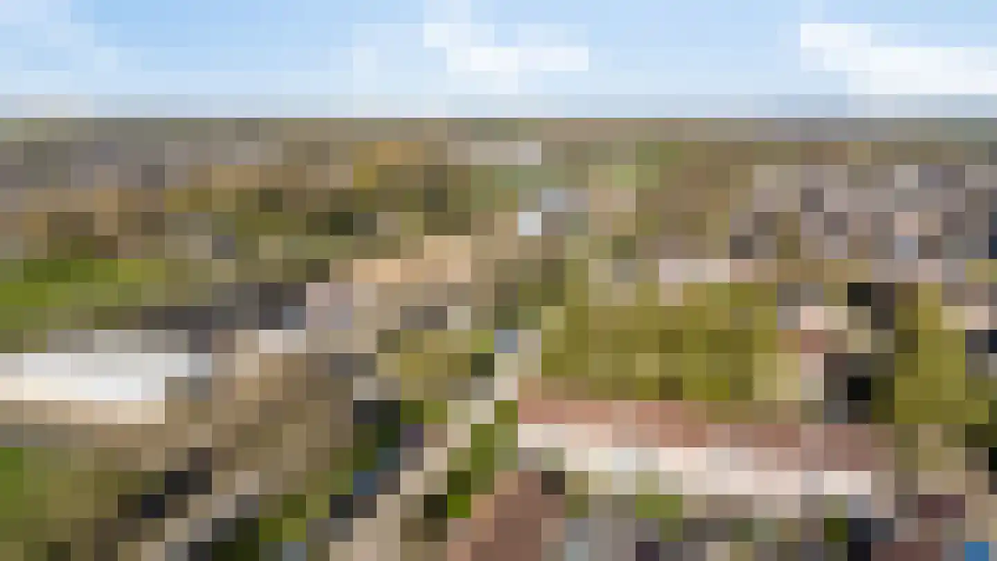 Jongkindstraat 6 Duiven thumbnail 50