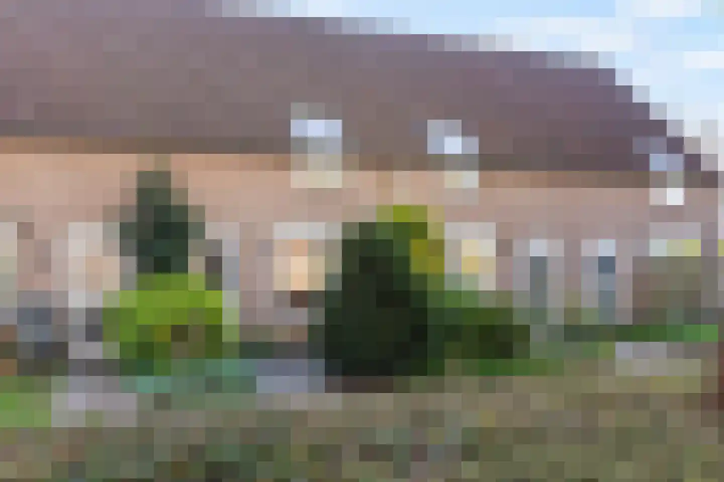 Jongkindstraat 6 Duiven thumbnail 7