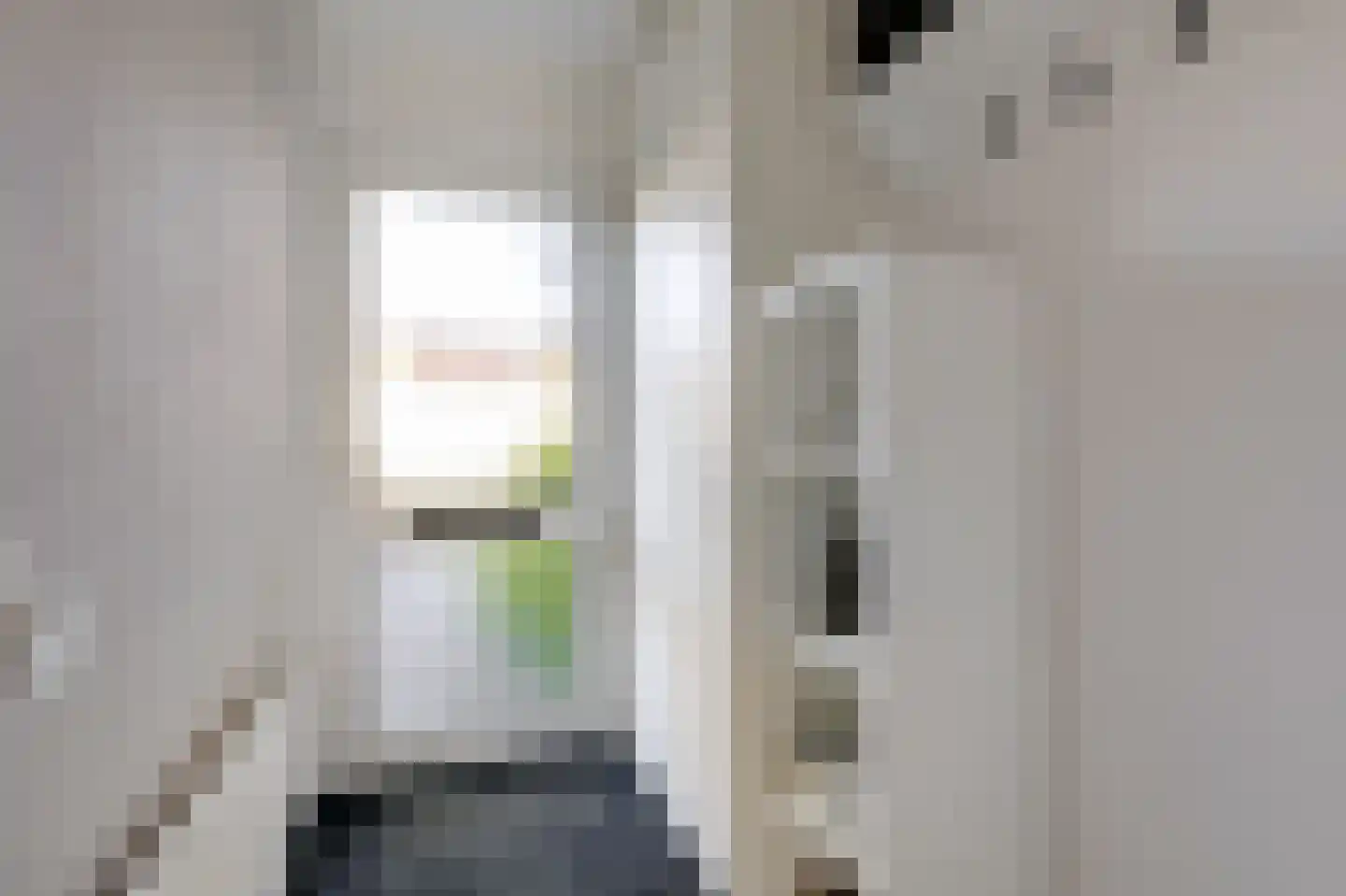 Jongkindstraat 6 Duiven thumbnail 9