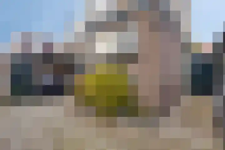 Jongkindt Coninckstraat 14 Alphen aan den Rijn thumbnail 37